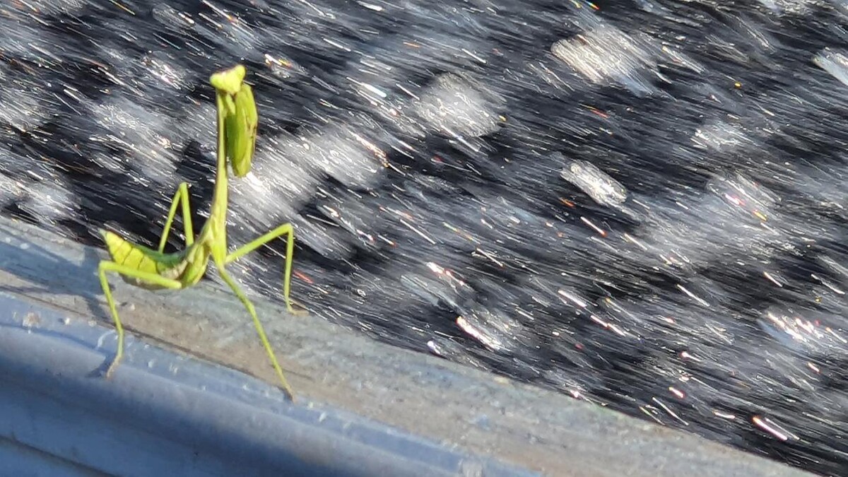 Bilder Brasilien-Wege