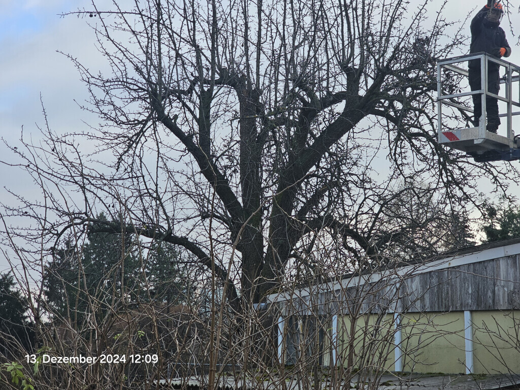 Bilder TIS Thüringer Immobilien Service