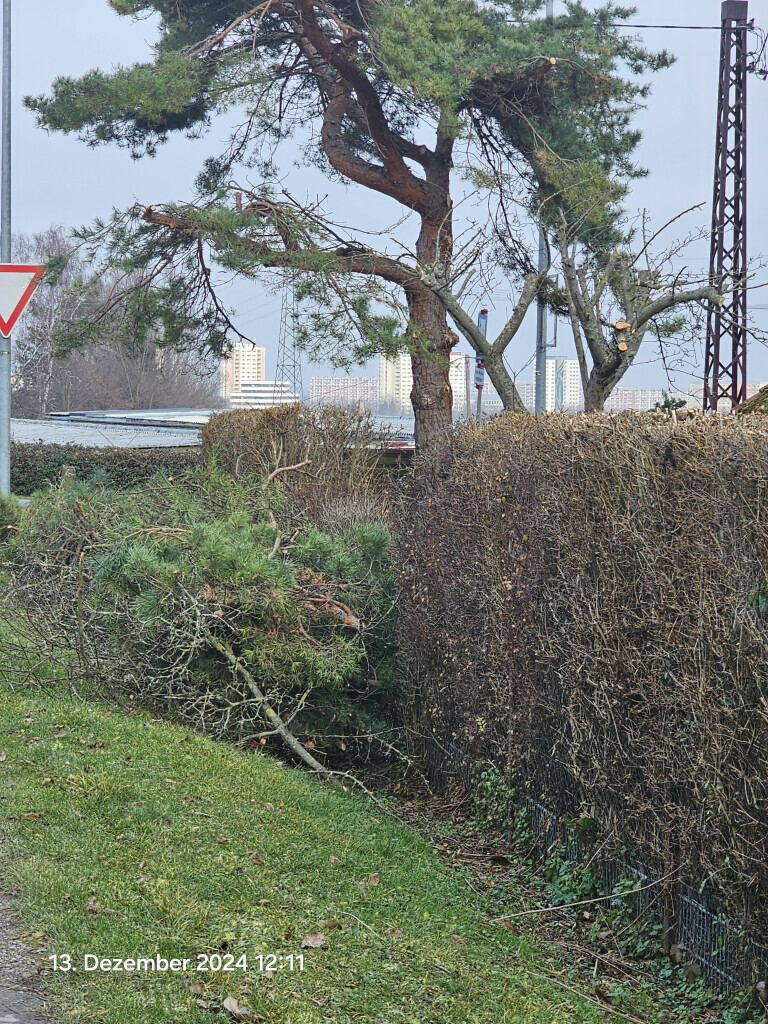 Bilder TIS Thüringer Immobilien Service