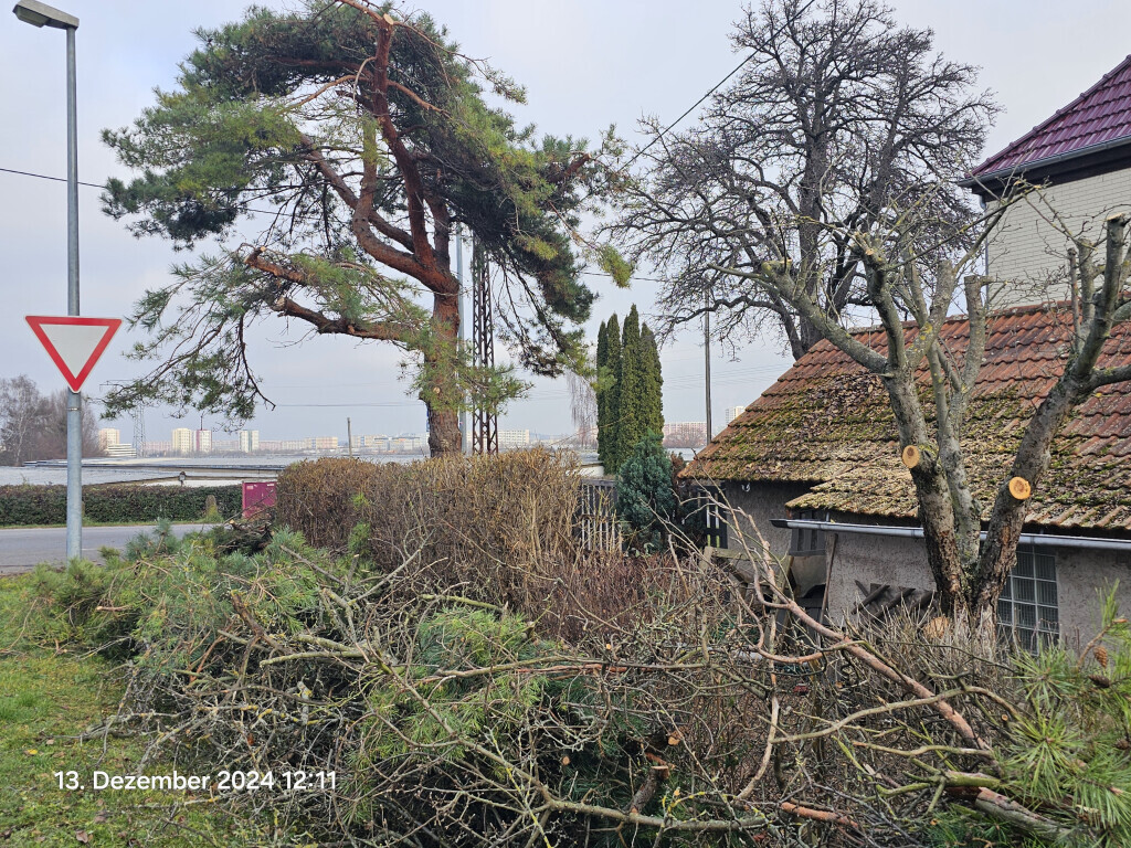 Bilder TIS Thüringer Immobilien Service