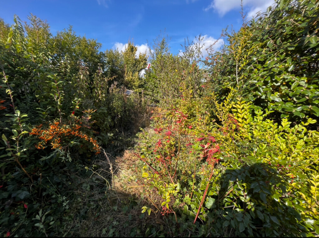 Bilder Martin - Rund Ums Haus