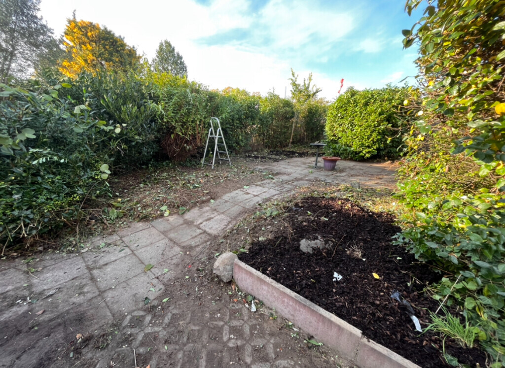 Bilder Martin - Rund Ums Haus