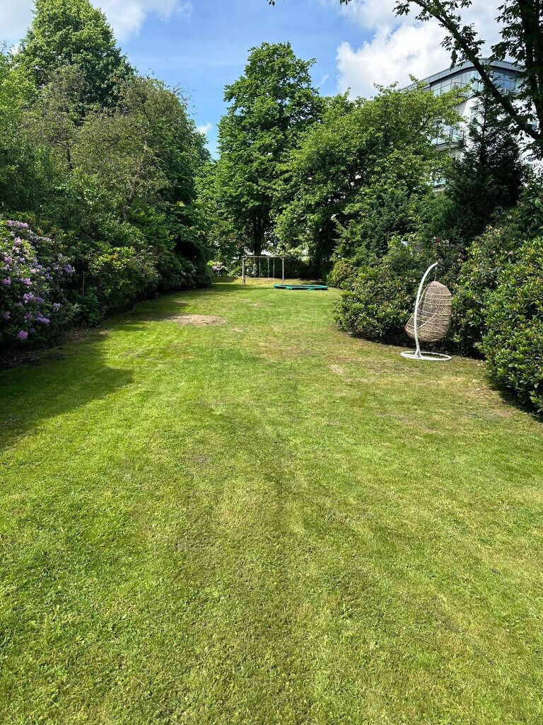 Bilder Hansa needs it