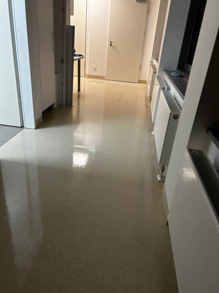 Bilder Hansa needs it