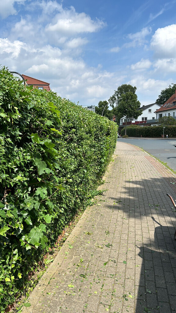 Bilder Hansa needs it