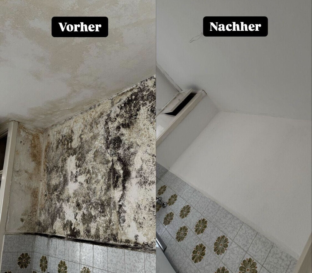 Bilder Hansa needs it