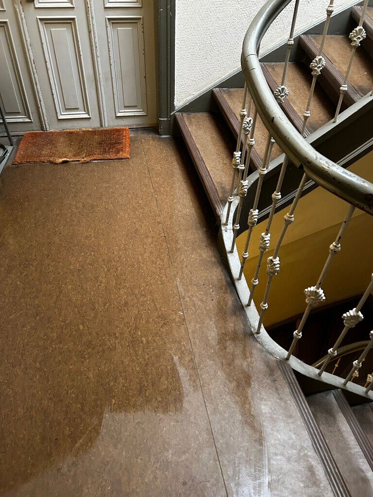 Bilder Hansa needs it