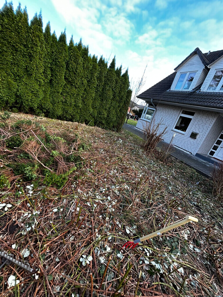 Bilder Hansa needs it