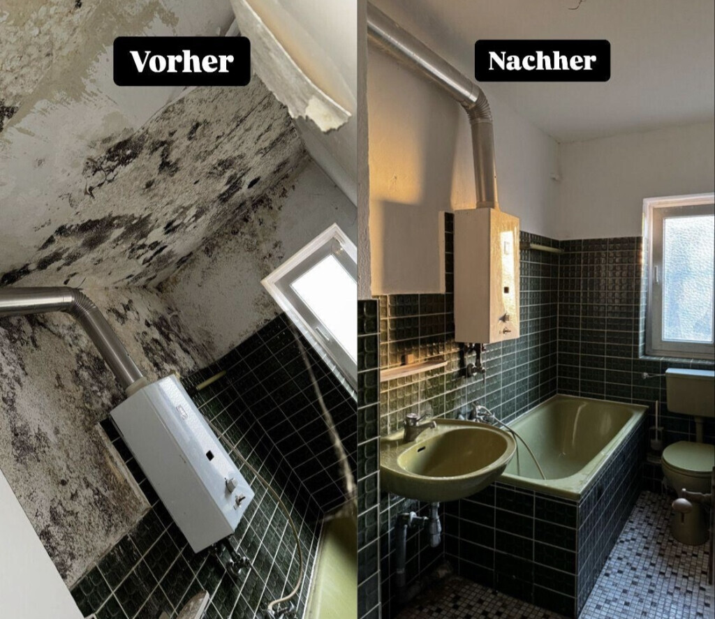 Bilder Hansa needs it