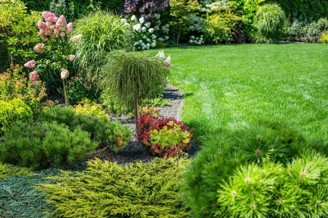 Bilder Björn Kranert Garten- und Landschaftsbaumeister