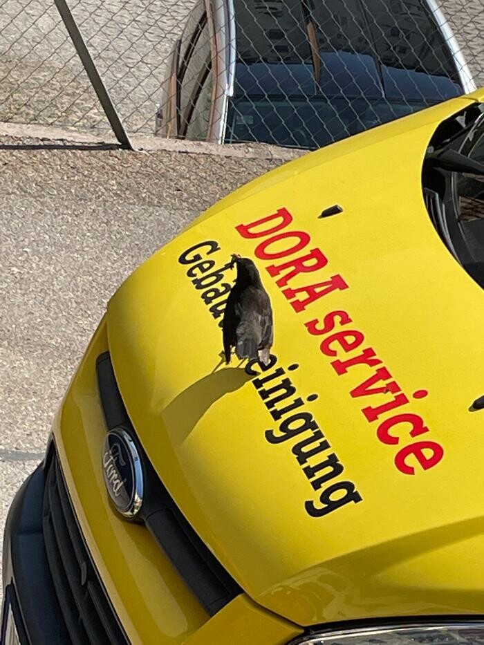 Bilder DORA service e. K.