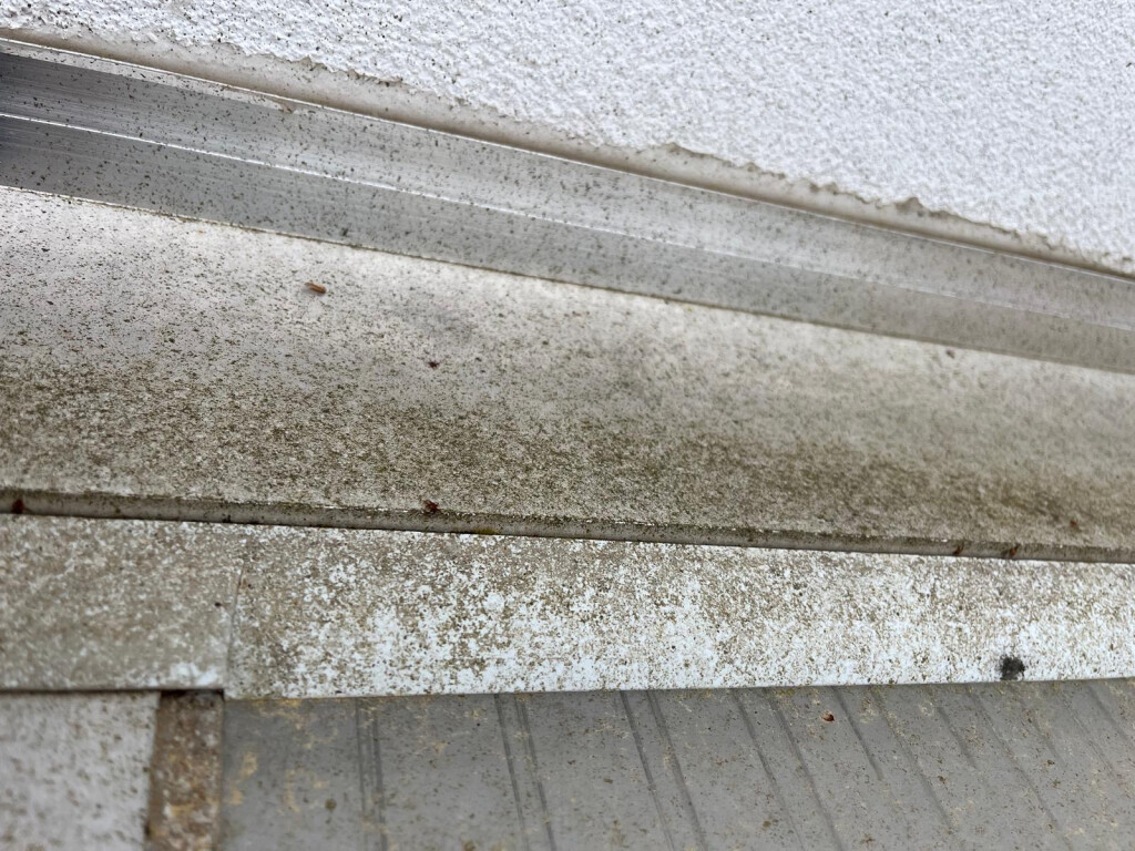 Bilder Avdula's Gebäudereinigung