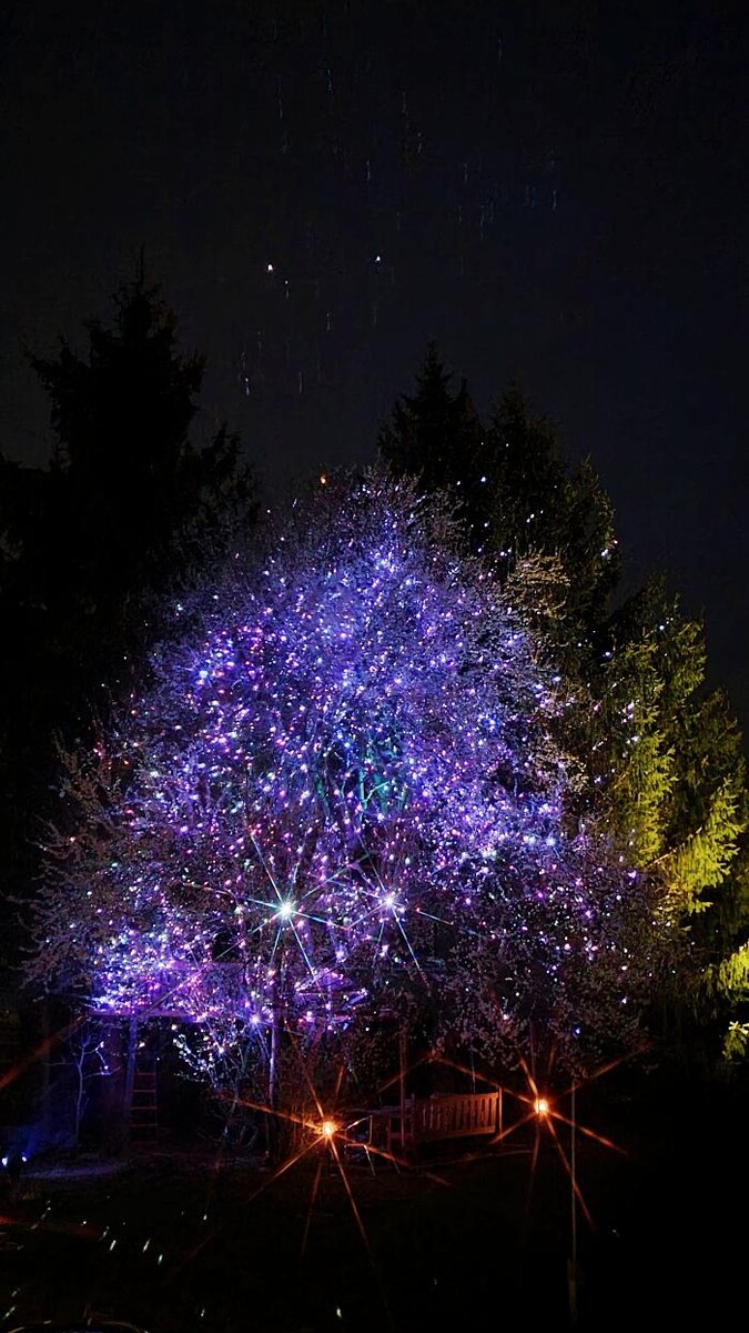 Bilder ACLS-Lasershow