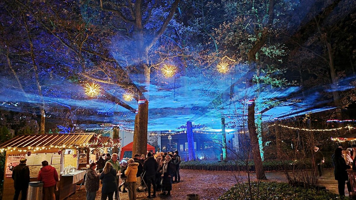 Bilder ACLS-Lasershow