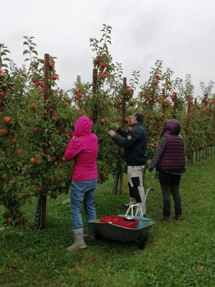 Bilder Pflanzenhof Voigt