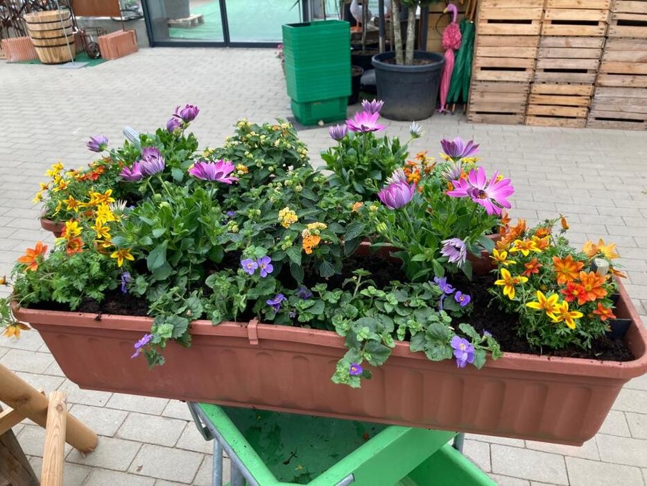 Bilder Pflanzenhof Voigt