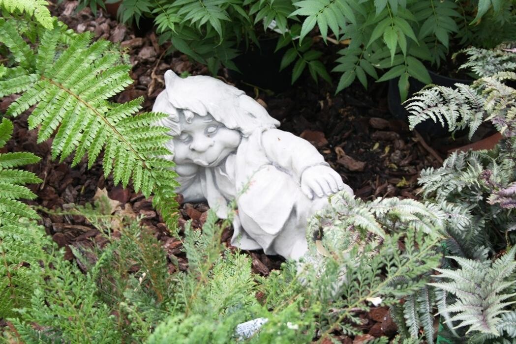 Bilder Pflanzenhof Voigt