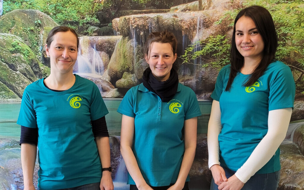 Bilder Ergotherapie Claudia Kempe