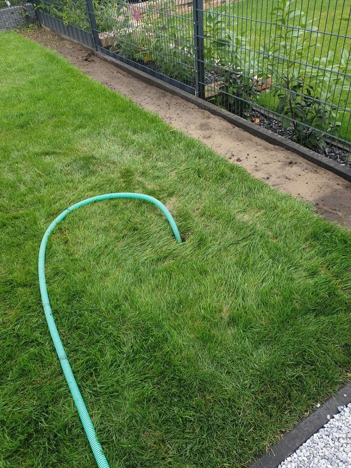 Bilder DIE BRUNNENBOHRER