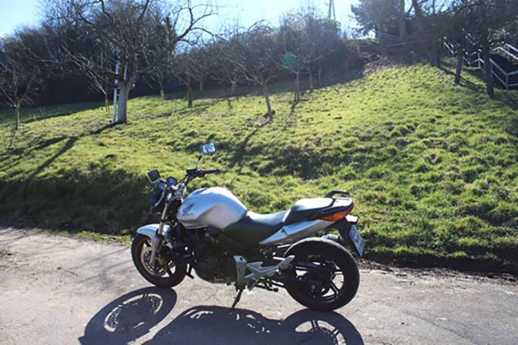 Bilder Fahrschule Oro Oronzo Volpicella