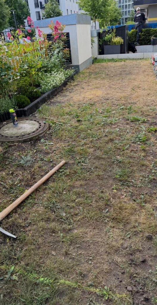 Bilder Blitzdienst24