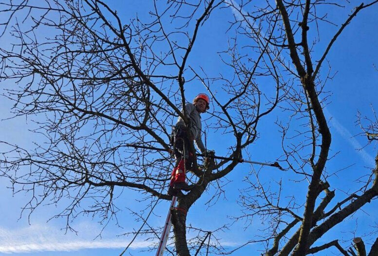 Bilder Gartenbau Joschko Wehmann