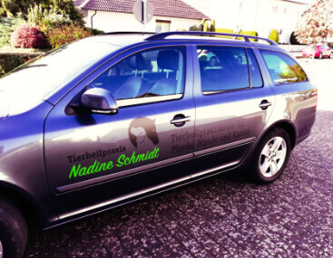 Bilder Tierheilpraxis Nadine Schmidt