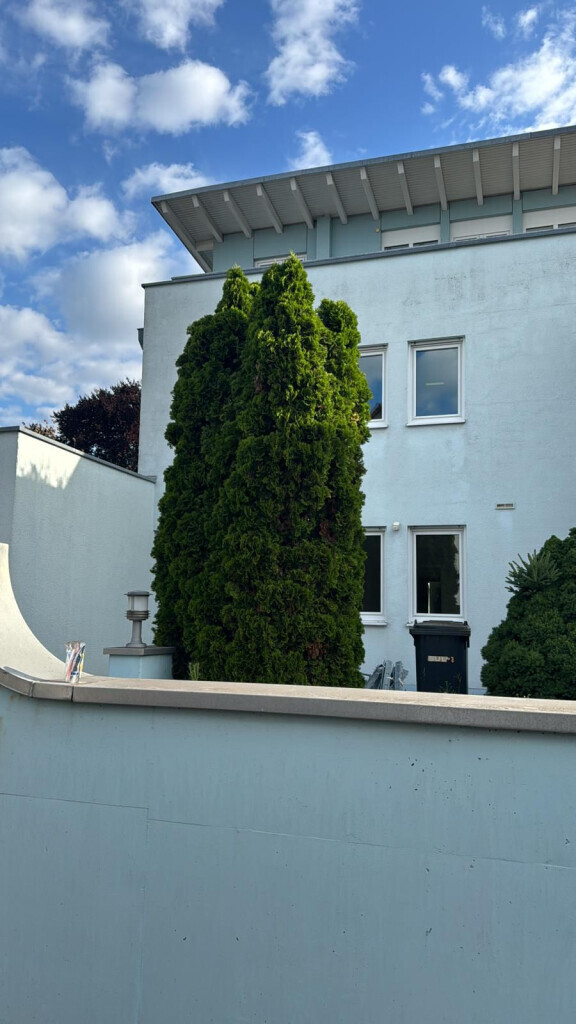 Bilder HN Mittelhessen Bauservice GmbH