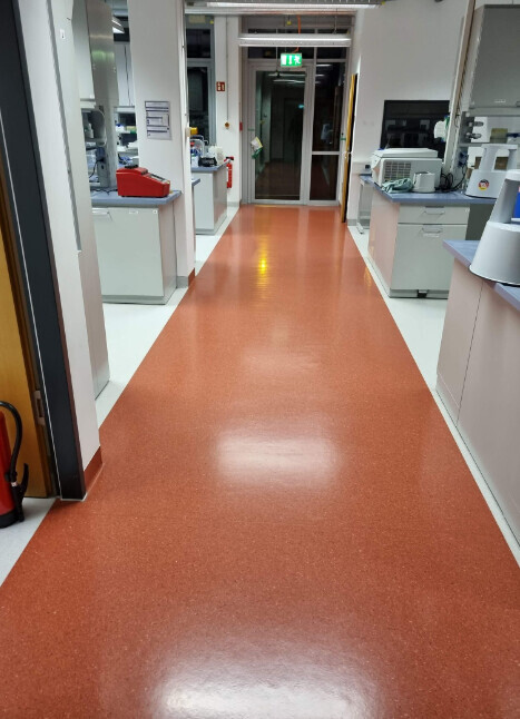 Bilder Sw-Gebäude- und Hausmeisterservice