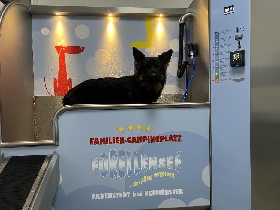 Bilder Familien-Campingplatz Padenstedt