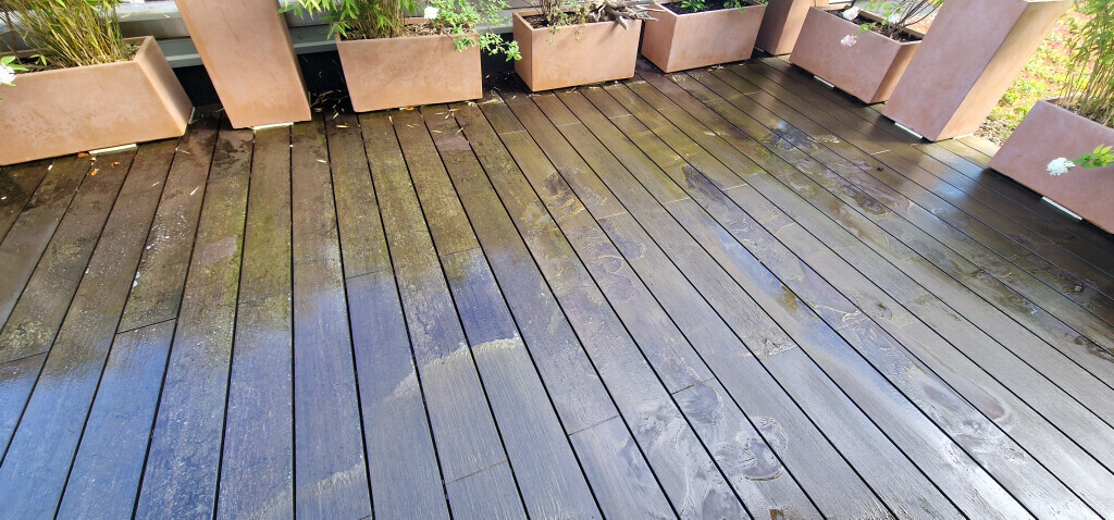 Bilder Cavus Dienstleistungen