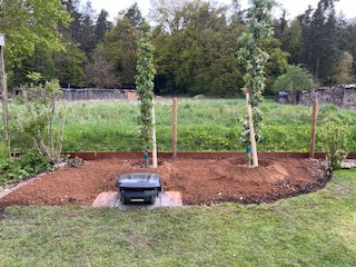 Bilder Grundstückspflege und Motorsägenkunst Colin Sand