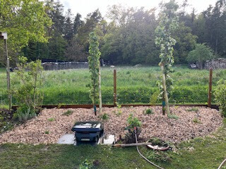 Bilder Grundstückspflege und Motorsägenkunst Colin Sand