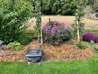 Bilder Grundstückspflege und Motorsägenkunst Colin Sand