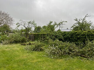 Bilder Grundstückspflege und Motorsägenkunst Colin Sand