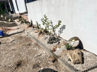 Bilder Grundstückspflege und Motorsägenkunst Colin Sand