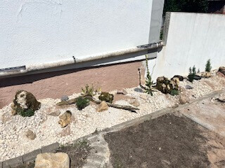 Bilder Grundstückspflege und Motorsägenkunst Colin Sand