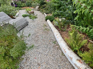 Bilder Grundstückspflege und Motorsägenkunst Colin Sand