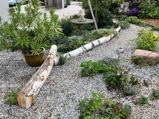 Bilder Grundstückspflege und Motorsägenkunst Colin Sand