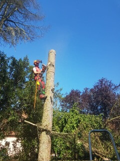 Bilder Grundstückspflege und Motorsägenkunst Colin Sand