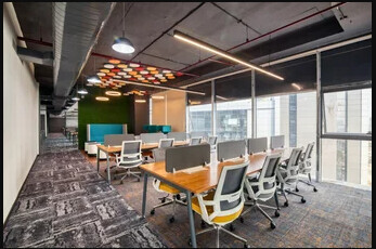 Bilder Schwarzwaldrosa