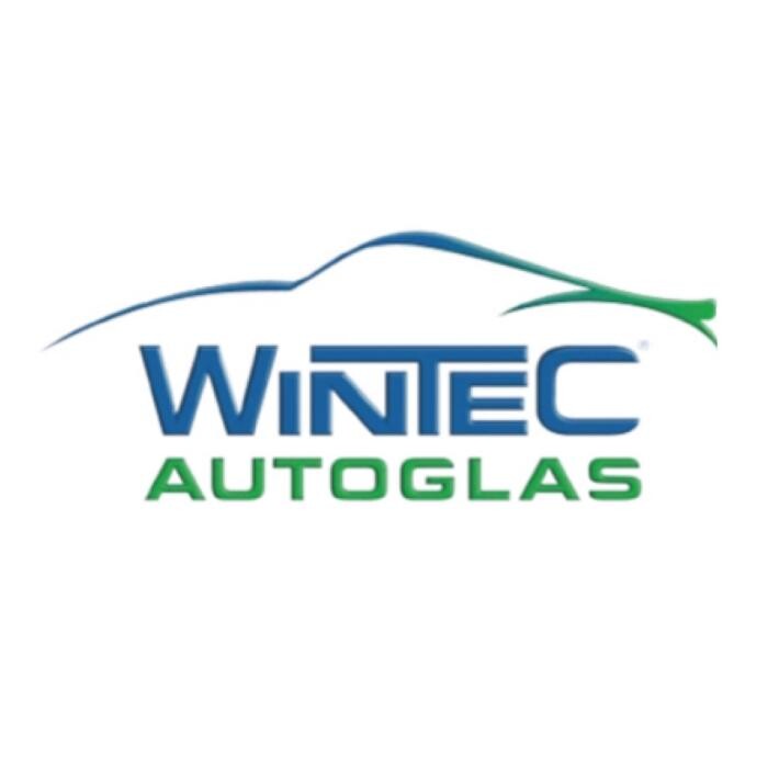 Wintec Autoglas Saalfeld GmbH Logo