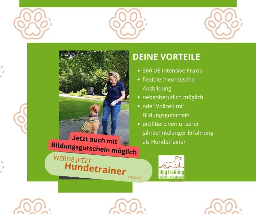 Bilder Hundeschule Wrann