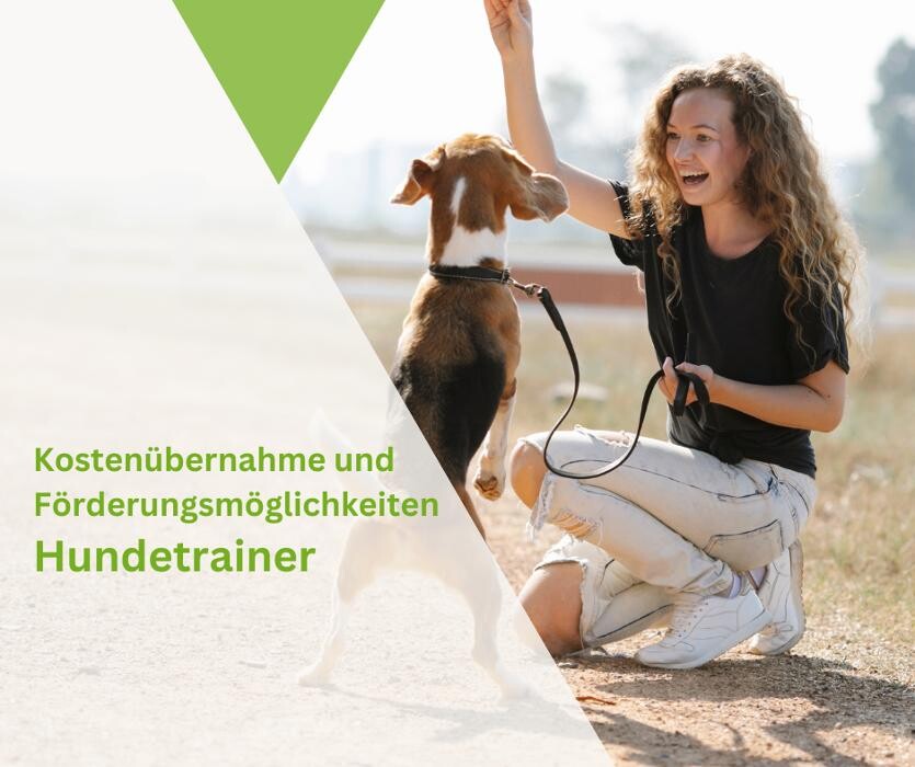 Bilder Hundeschule Wrann