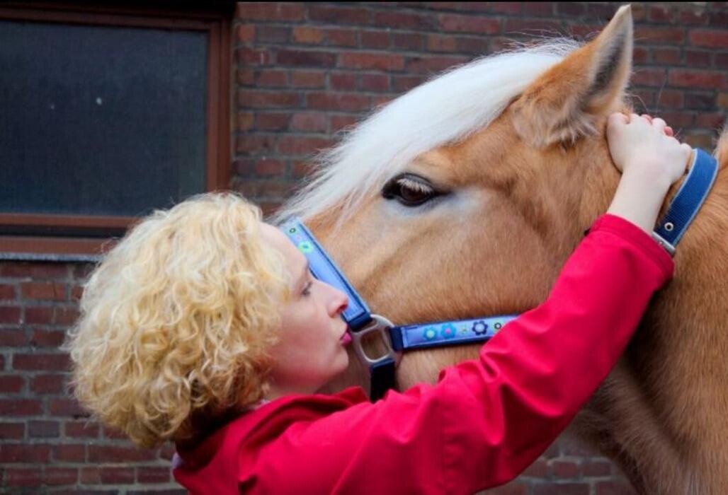 Bilder Tierphysiotherapie Zentrum Wrann