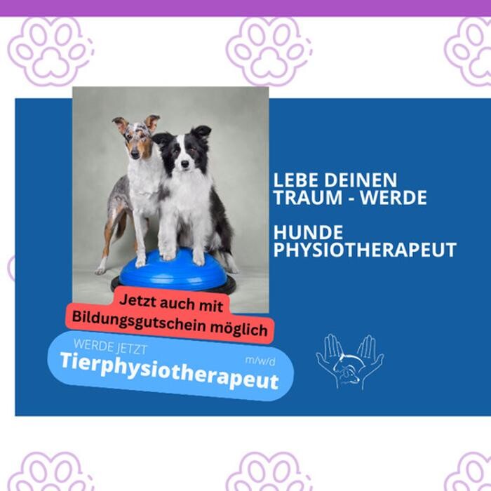 Bilder Tierphysiotherapie Zentrum Wrann