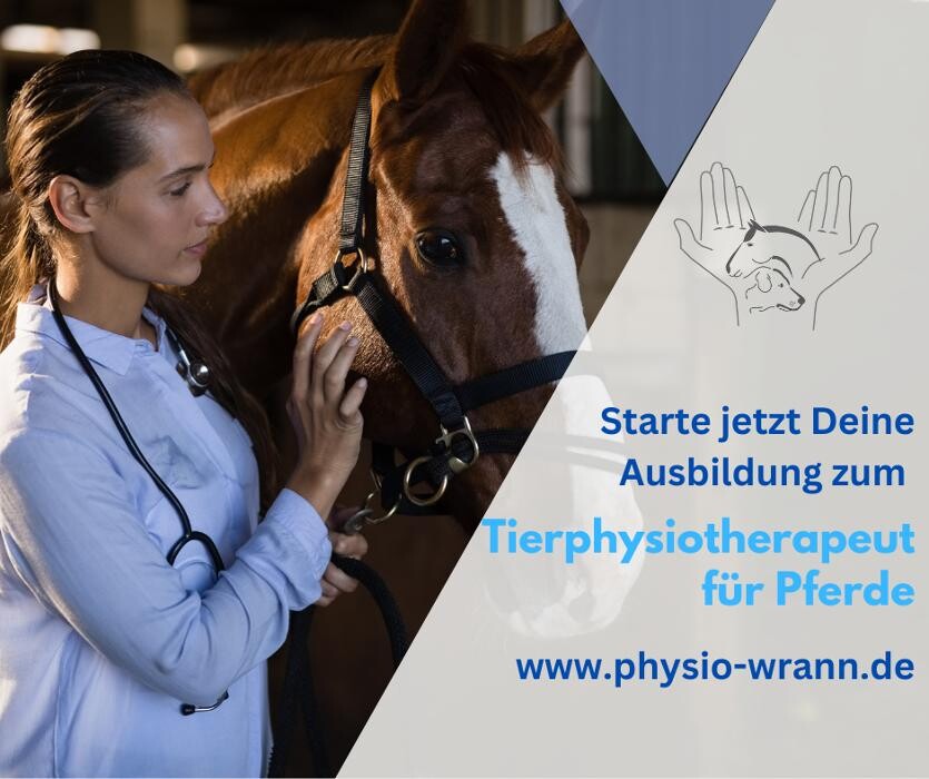 Bilder Tierphysiotherapie Zentrum Wrann