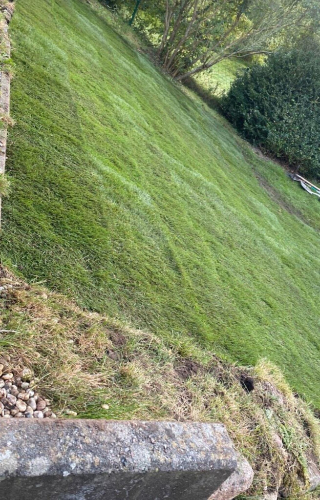 Bilder Wagner Garten und Bau