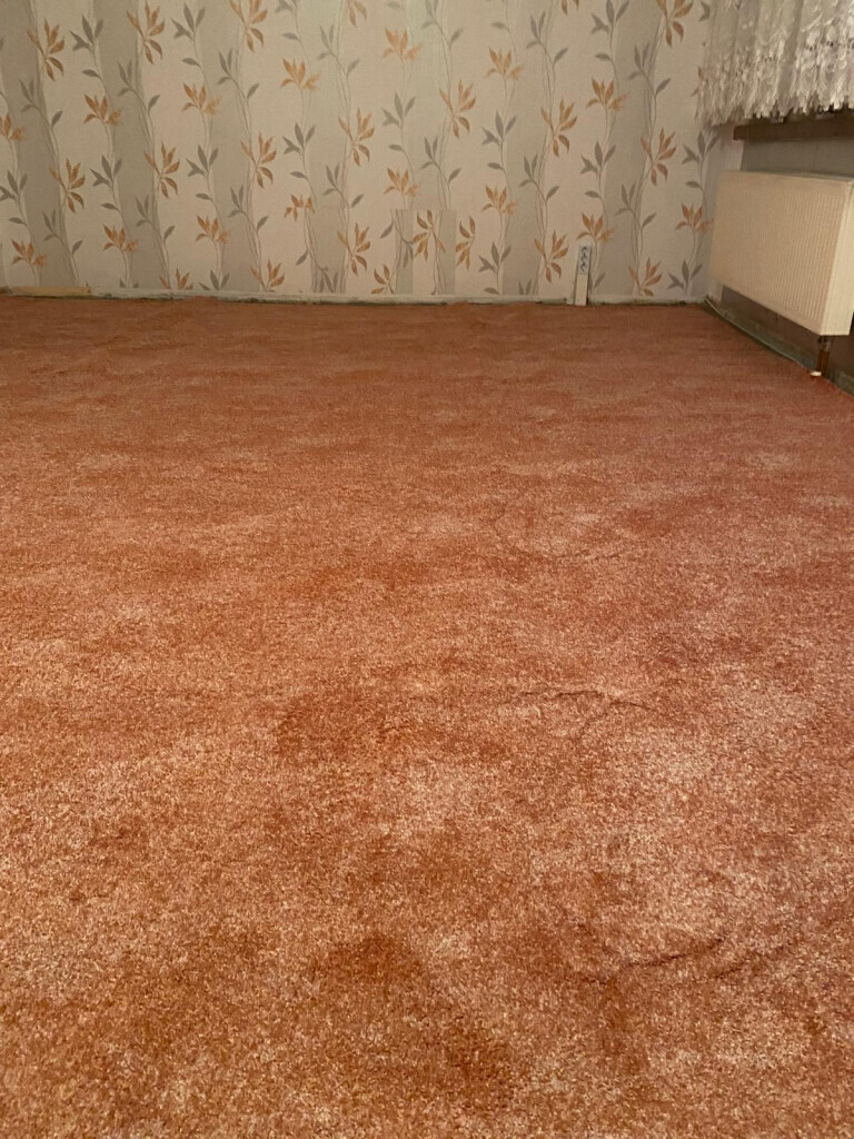 Bilder Dein-Wohntraum