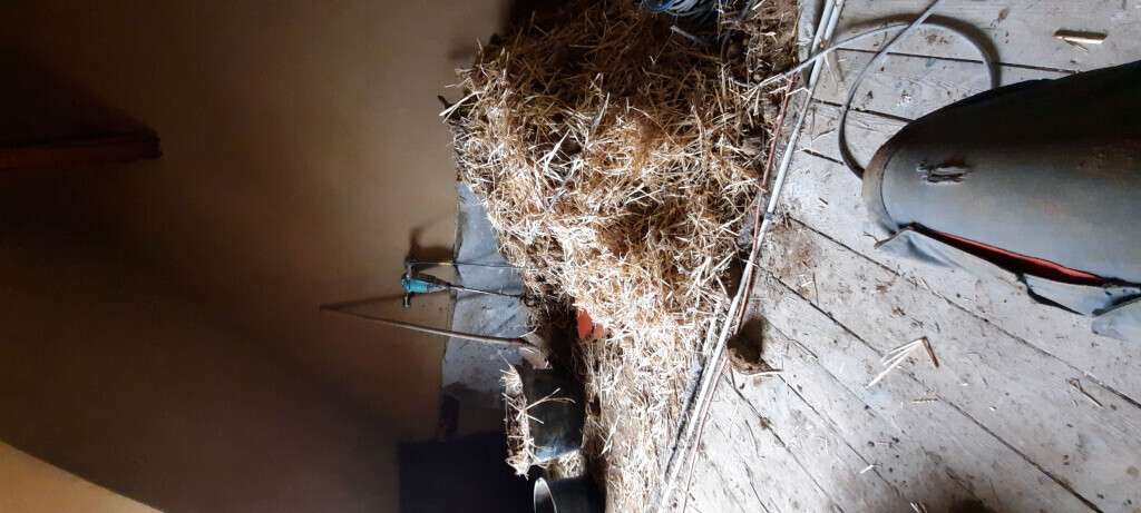 Bilder MALAVA Bau